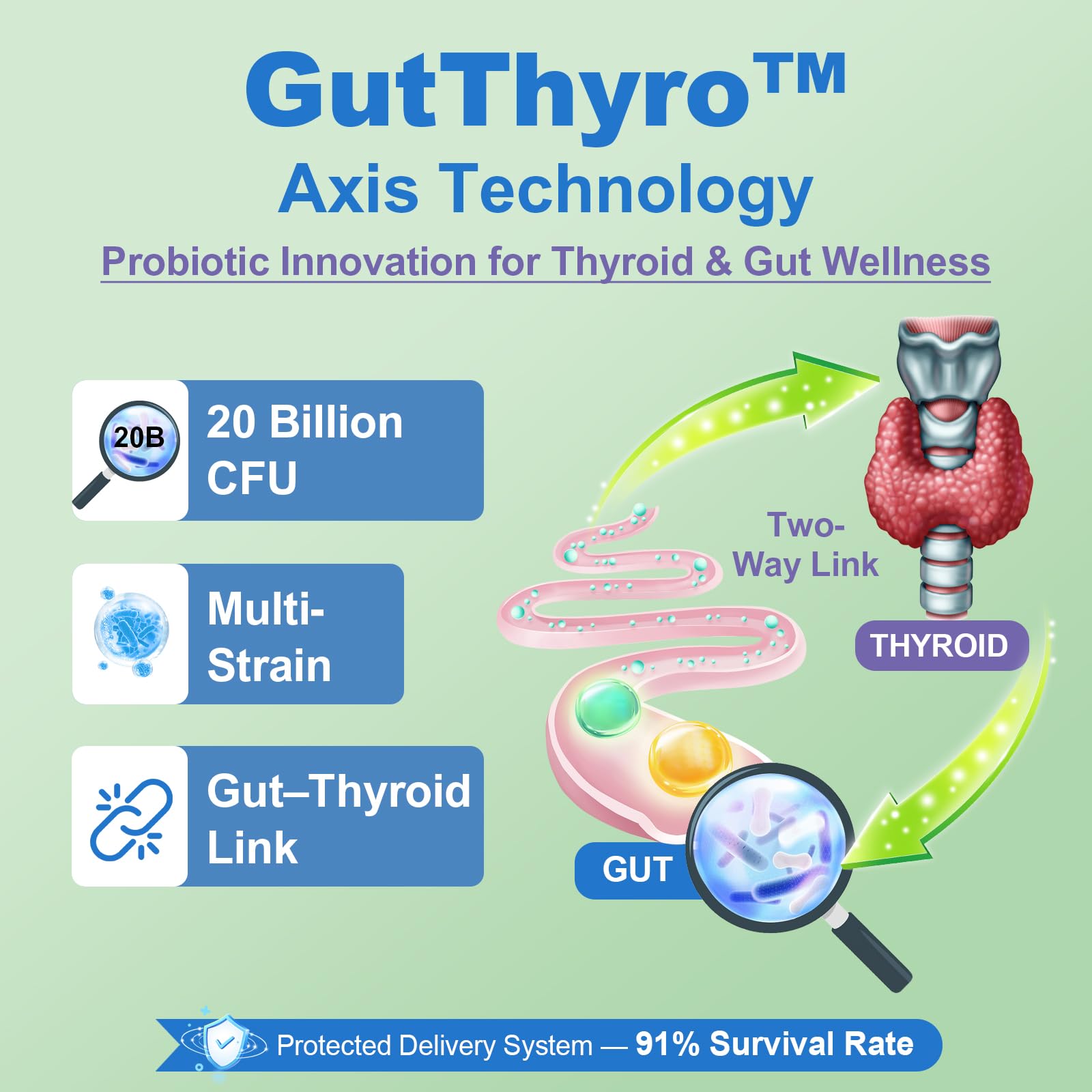 Close-up of Quorinthiumax Thyroid Extracts capsule