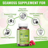 Close-up of Safrel Triple Sea Moss Complex Vegan Gummies