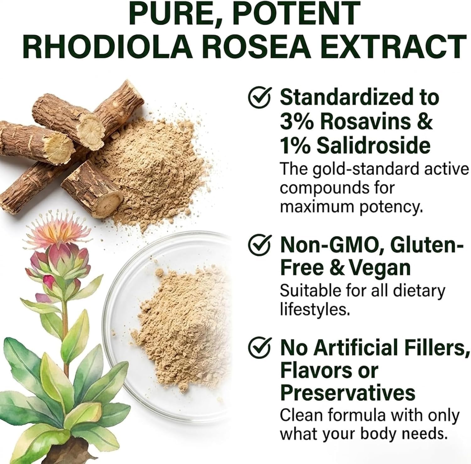 Close-up of Salvora Organic Rhodiola Rosea 500mg capsules