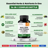 Close-up of Sandhu's Mullein Leaf Extract Capsules