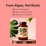 Close-up of Sapling Vegan Calcium Supplement capsules
