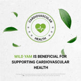 Close-up of Secrets of the Tribe Wild Yam Tincture dropper