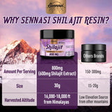 Close-up of Sennasi Shilajit Resin texture