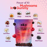 Close-up of SKY NUTRITION Mushroom Gummies raspberry flavour