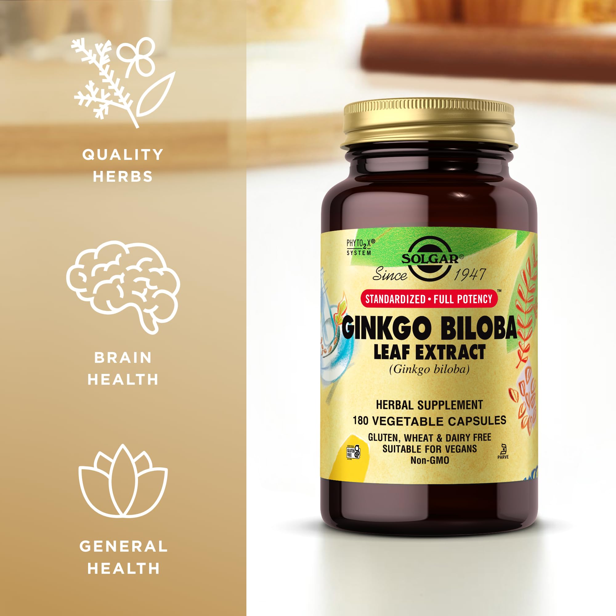 Close-up of Solgar Ginkgo Biloba Leaf Extract 100mg tablet
