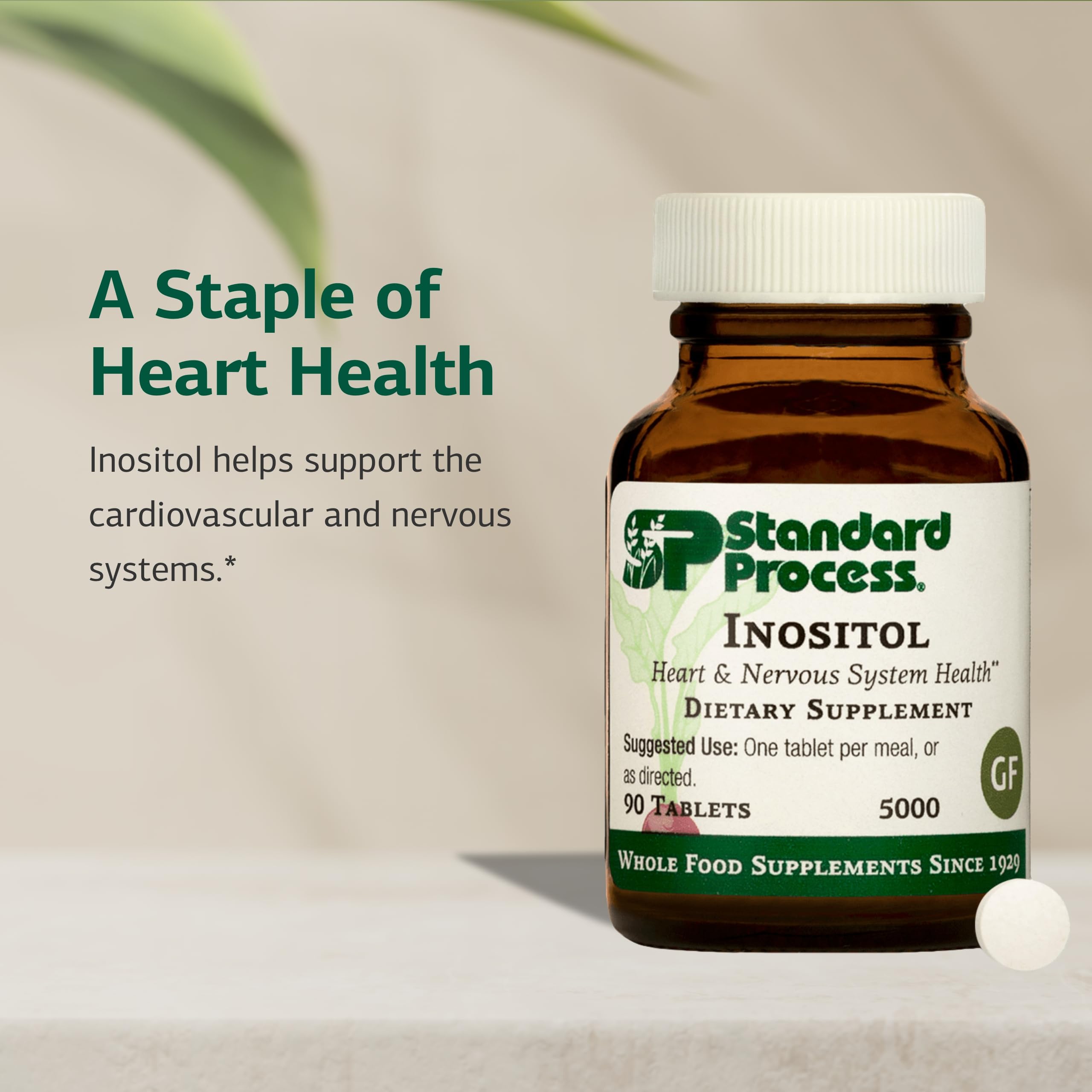 Close-up of Standard Process Inc. Inositol Supplement tablet