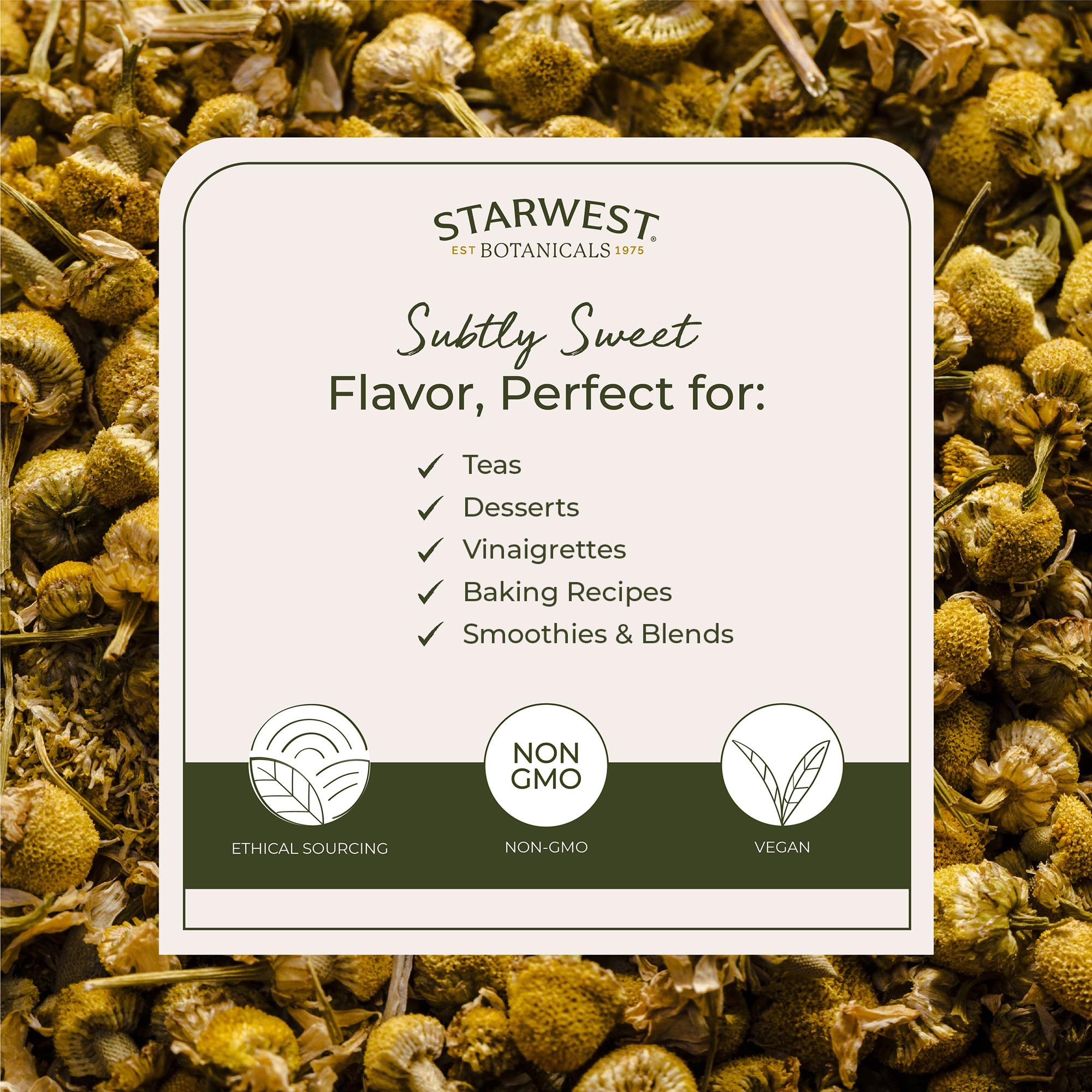 Close-up of Starwest Botanicals Organic Chamomile Flowers