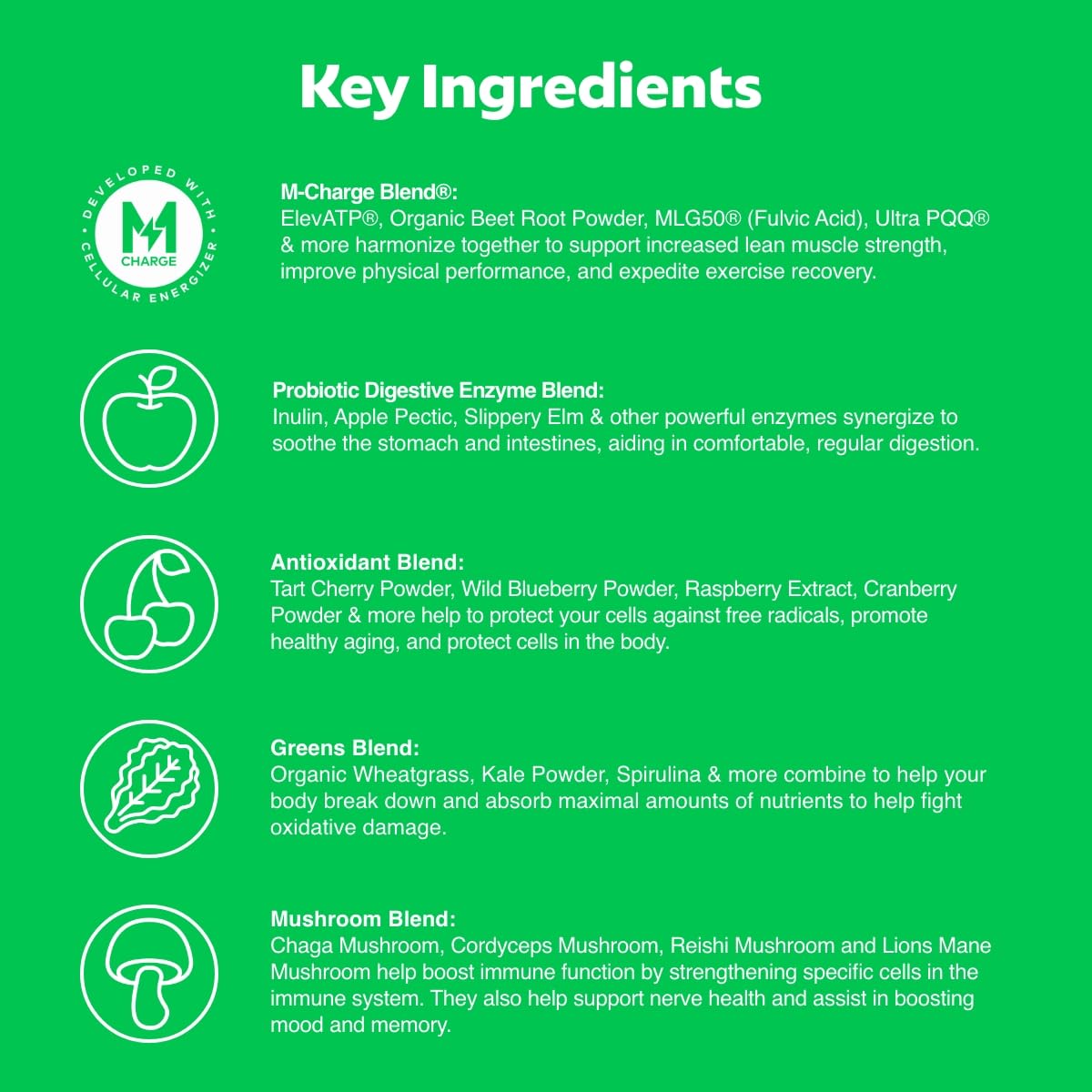 Close-up of Steve Harvey's L'Evate You Vitality Daily Greens Chocolate powder