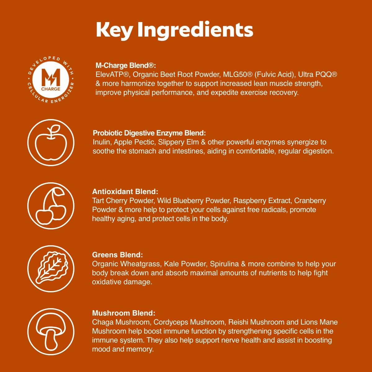 Close-up of Steve Harvey's L'Evate You Vitality Daily Greens Chocolate powder