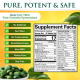 Close-up of Sunlit Best Green Organics Chlorella Tablets showing tablet size