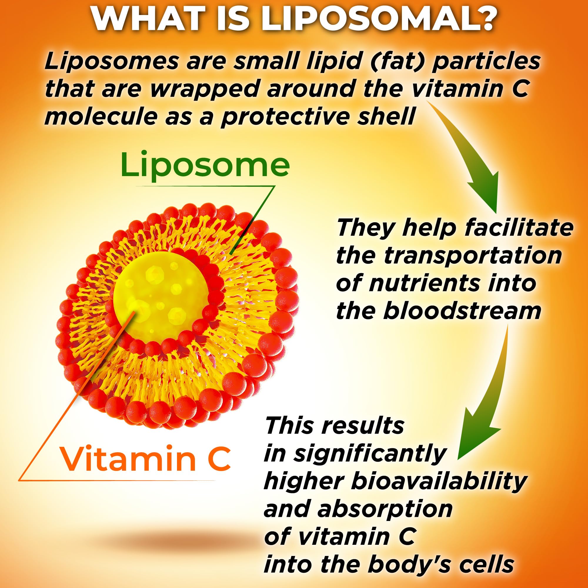 Close-up of SUPPLEMENTS STUDIO Liposomal Vitamin C capsule