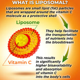 Close-up of SUPPLEMENTS STUDIO Liposomal Vitamin C capsule