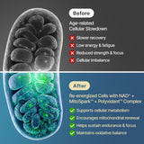 Close-up of SYZY GENICS Resveratrol Supplement softgel