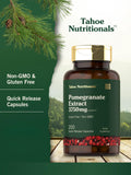 Close-up of Tahoe Nutritionals Pomegranate Extract Capsules