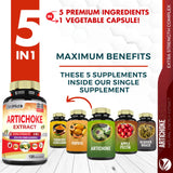 Close-up of Tenmido Artichoke Extract Capsules with ingredients