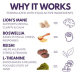 Close-up of The Mushroom Society Herbal Supplement Capsules