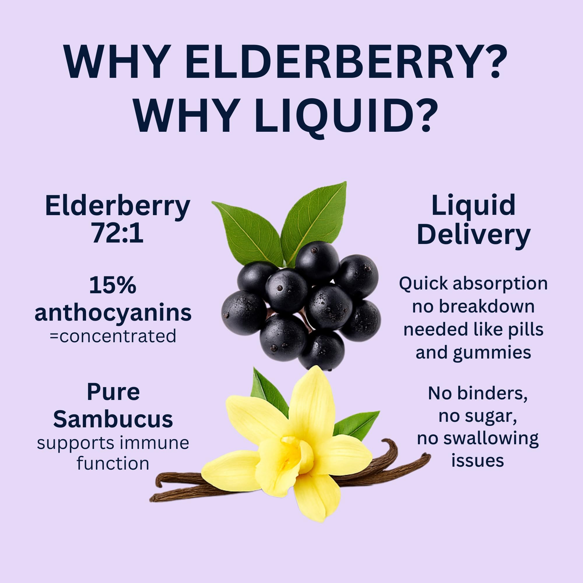 Close-up of Think Above Elderberry Liquid Drops dropper