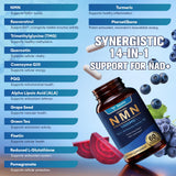 Close-up of Totaria NMN Supplement capsules