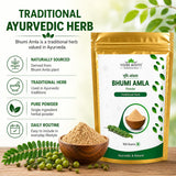 Close-up of VEDIKROOTS Bhumi Amla Powder texture