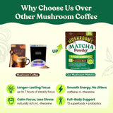 Close-up of Venture Pal Mushroom Supplement powder
