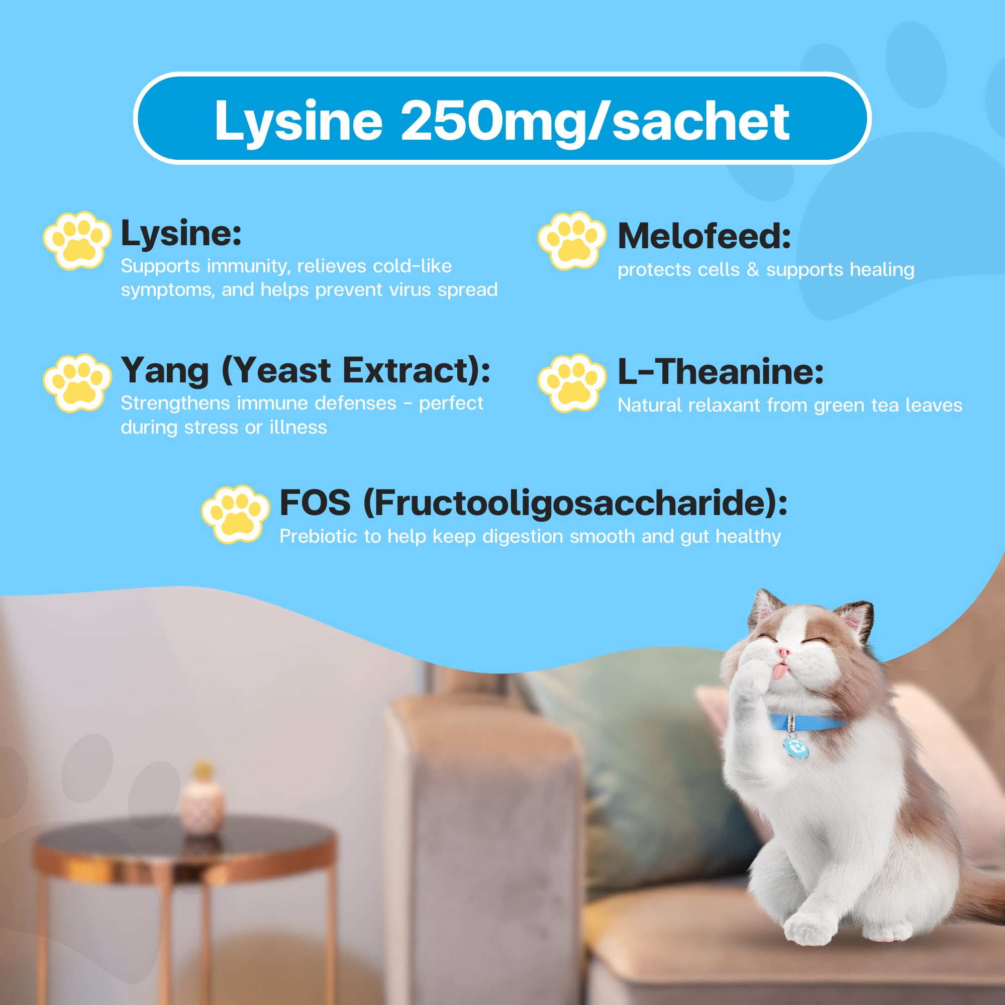Close-up of VFCARE L-Lysine Cat Supplement