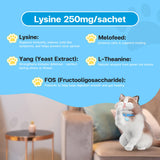 Close-up of VFCARE L-Lysine Cat Supplement