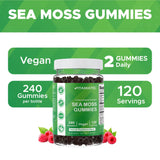 Close-up of Vitamatic Sea Moss Gummies showing their chewy texture