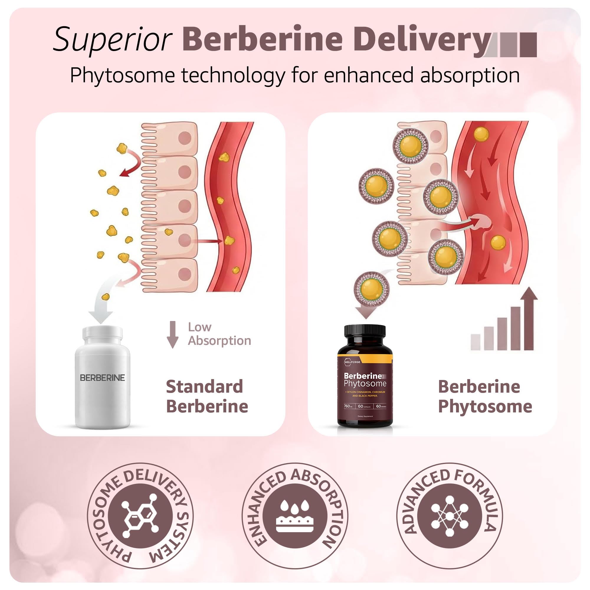 Close-up of WellForge Berberine Phytosome capsules