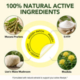 Close-up of WELOSUER Mood+ Patch showing ingredients