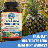 Close-up of WHOLE WORLD WELLNESS Joint Support Supplement capsules