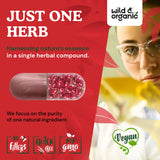 Close-up of Wild & Organic Tart Cherry Capsules in hand
