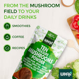 Close-up of WIXAR NATURALS Mushroom Powder texture