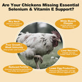 Close-up of Yakucho E+S Poultry Vitality Formula liquid
