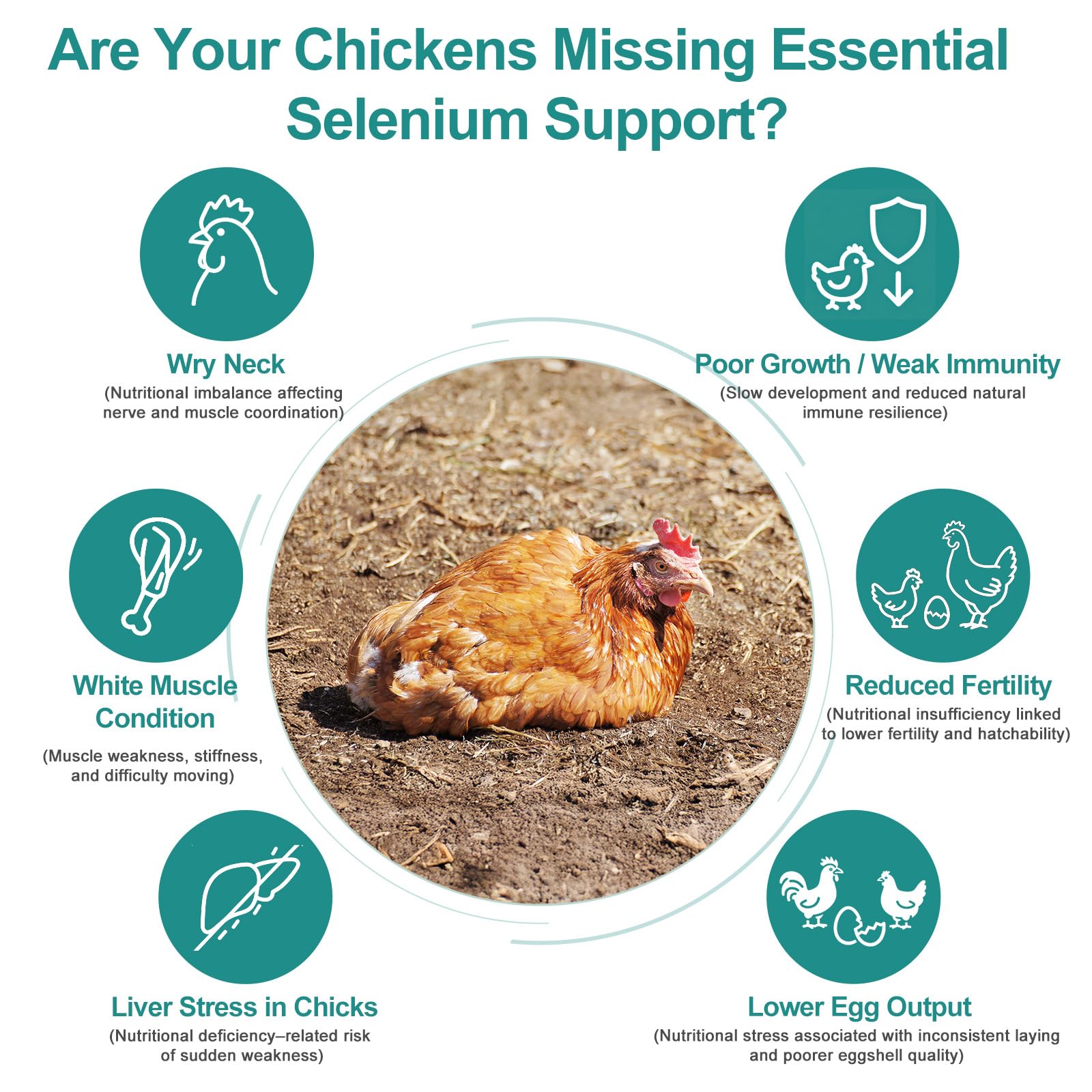 Close-up of Yakucho Liquid Selenium for Poultry label