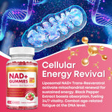 CNCHEF NAD Gummies 1200mg lifestyle scene with gummies on a table