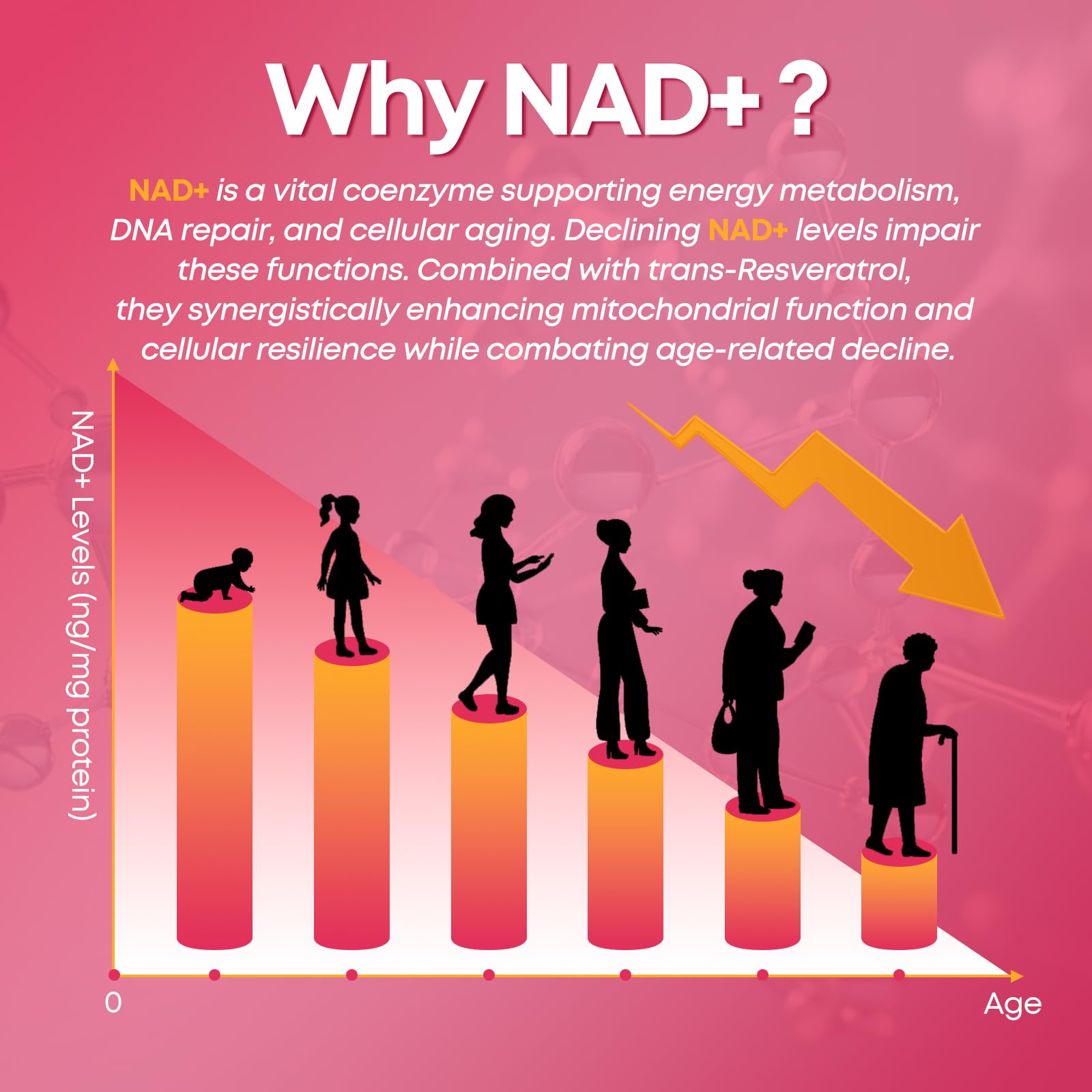 CNCHEF NAD Gummies nutritional information
