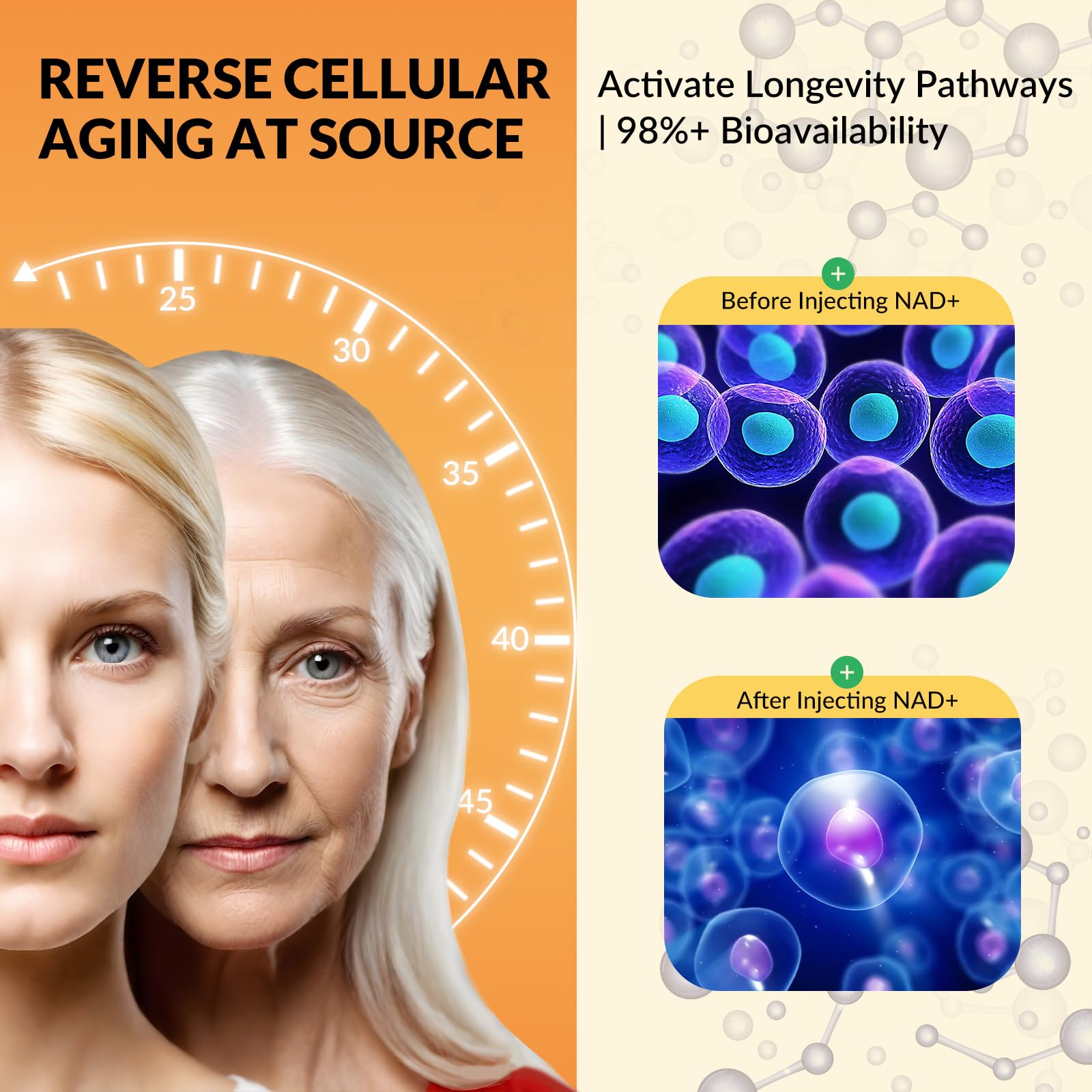 CNCHEF Resveratrol Liquid Drops with black pepper extract