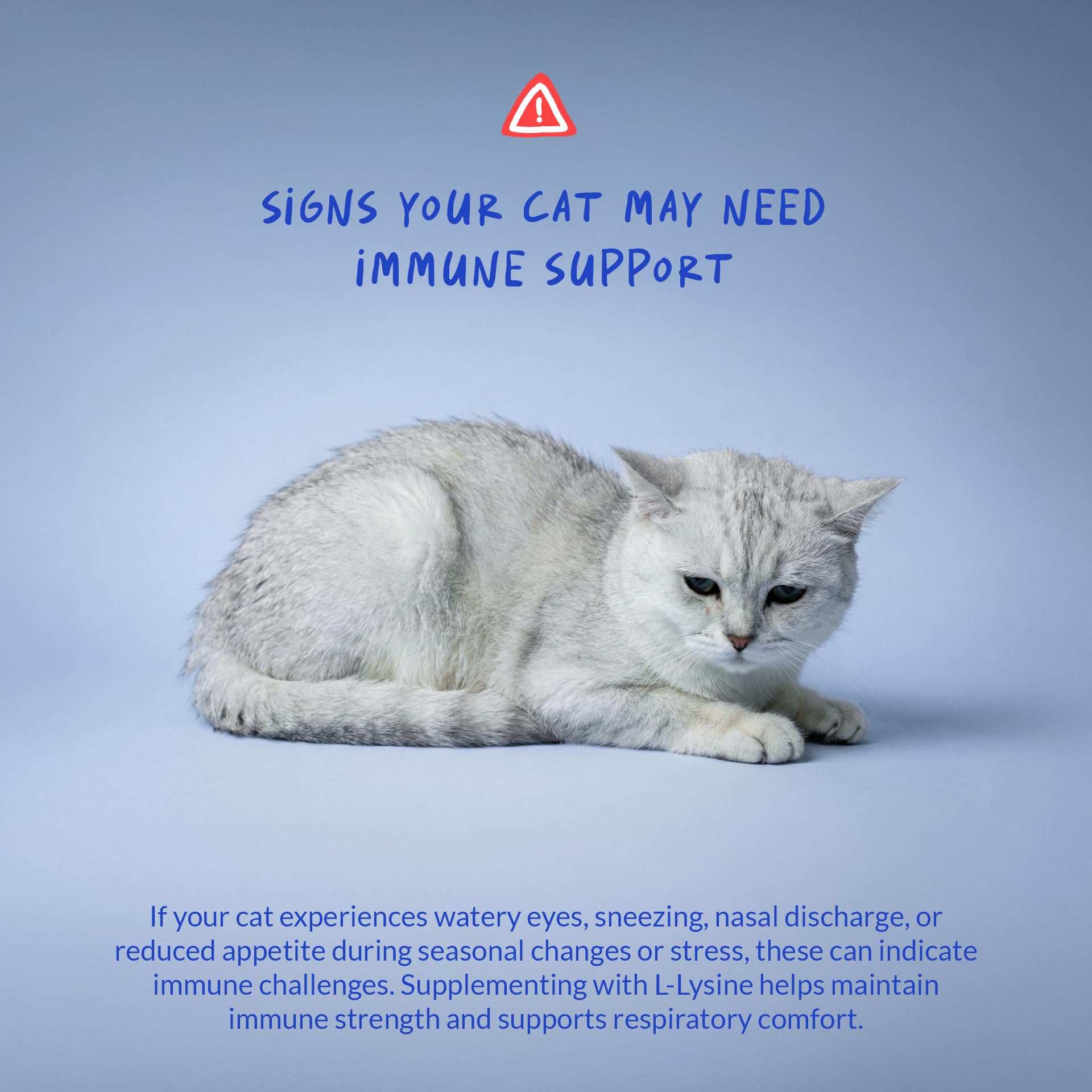 Coco and Luna L-Lysine Powder for Cats 120g close-up