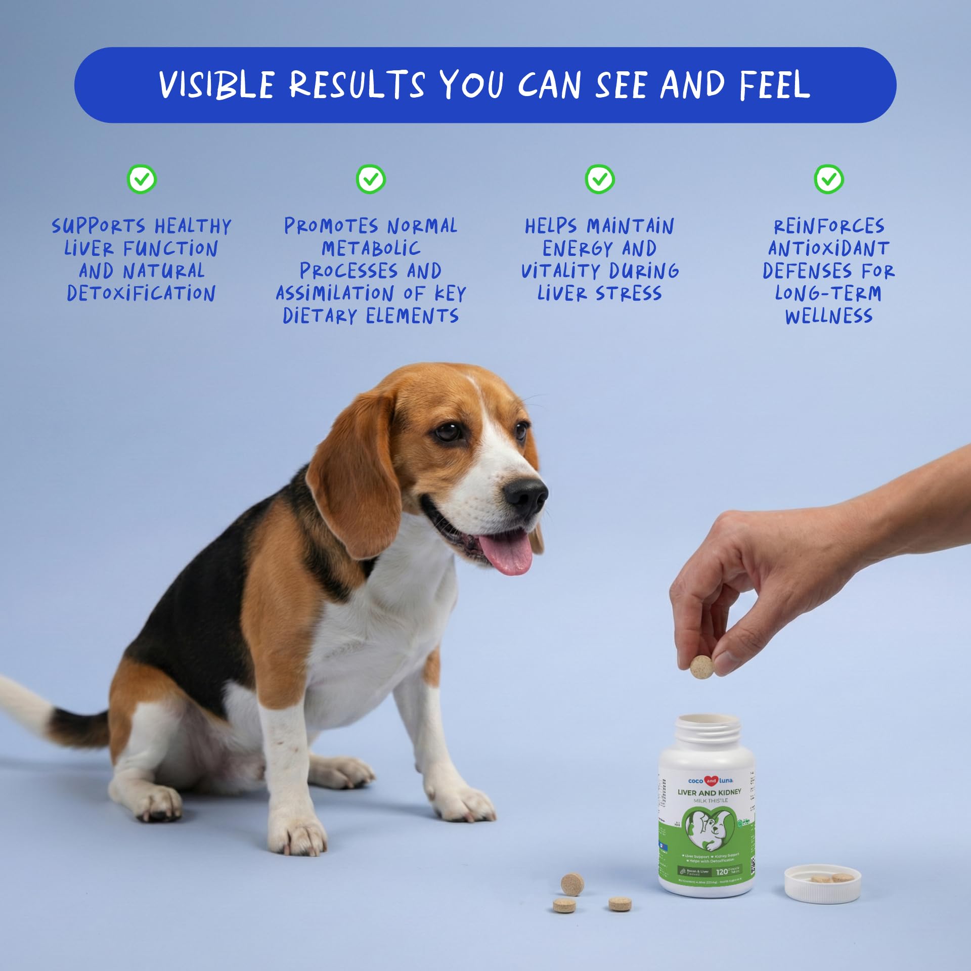 Coco and Luna Milk Thistle supplement side view with dosage details