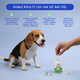 Coco and Luna Milk Thistle supplement side view with dosage details