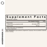Codeage Akkermansia Probiotic & Prebiotic Supplement capsules close-up