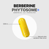Codeage Berberine HCL 500mg supplement on a wooden table