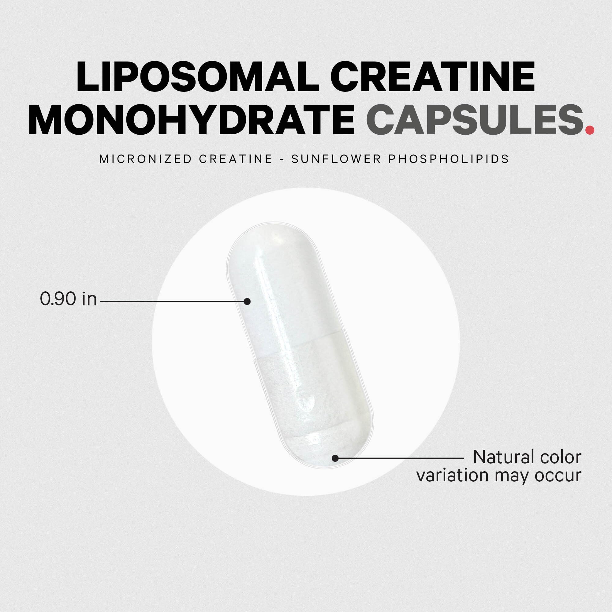 Codeage Liposomal Creatine Capsules in a hand for size comparison