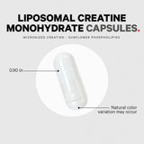 Codeage Liposomal Creatine Capsules in a hand for size comparison