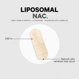Codeage Liposomal NAC capsules with a glass of water