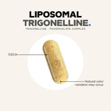 Codeage Liposomal Trigonelline supplement capsules in hand