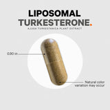 Codeage Liposomal Turkesterone 500mg bottle on a wooden table