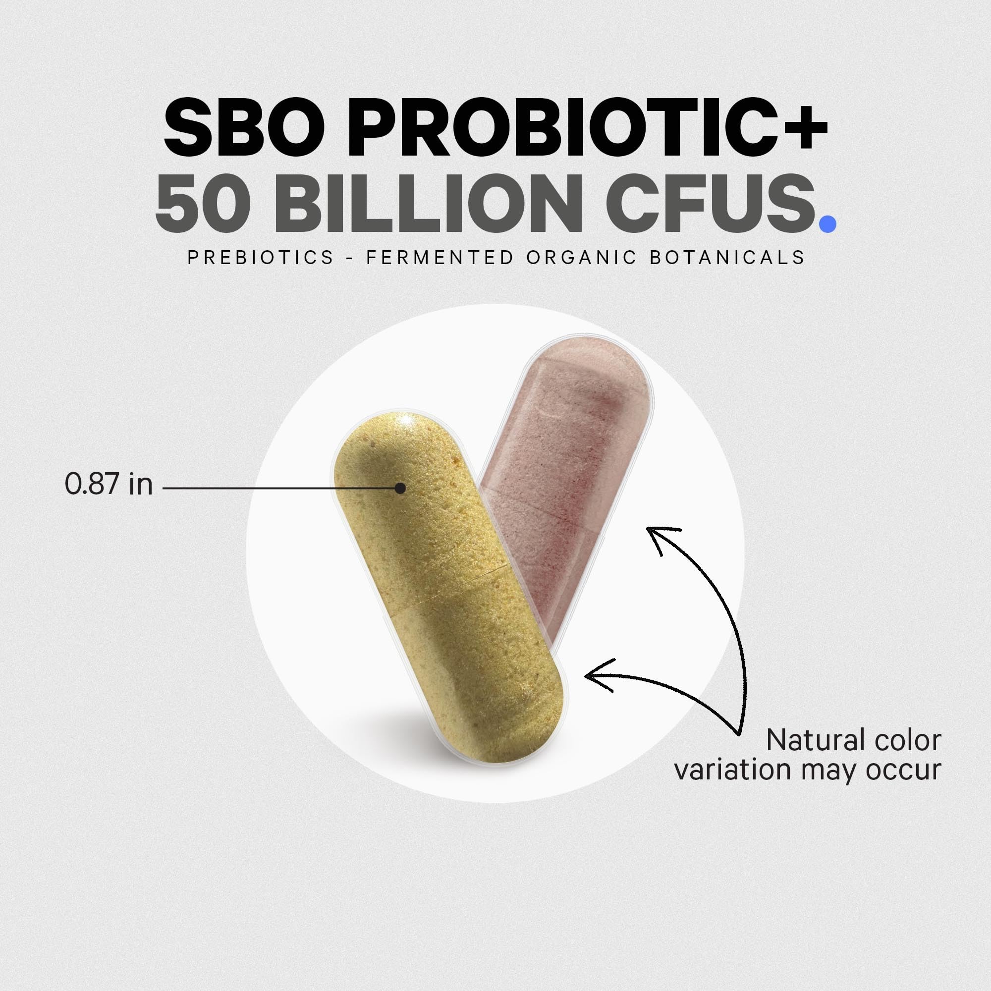 Codeage SBO Probiotic+ with lifestyle setting and natural light