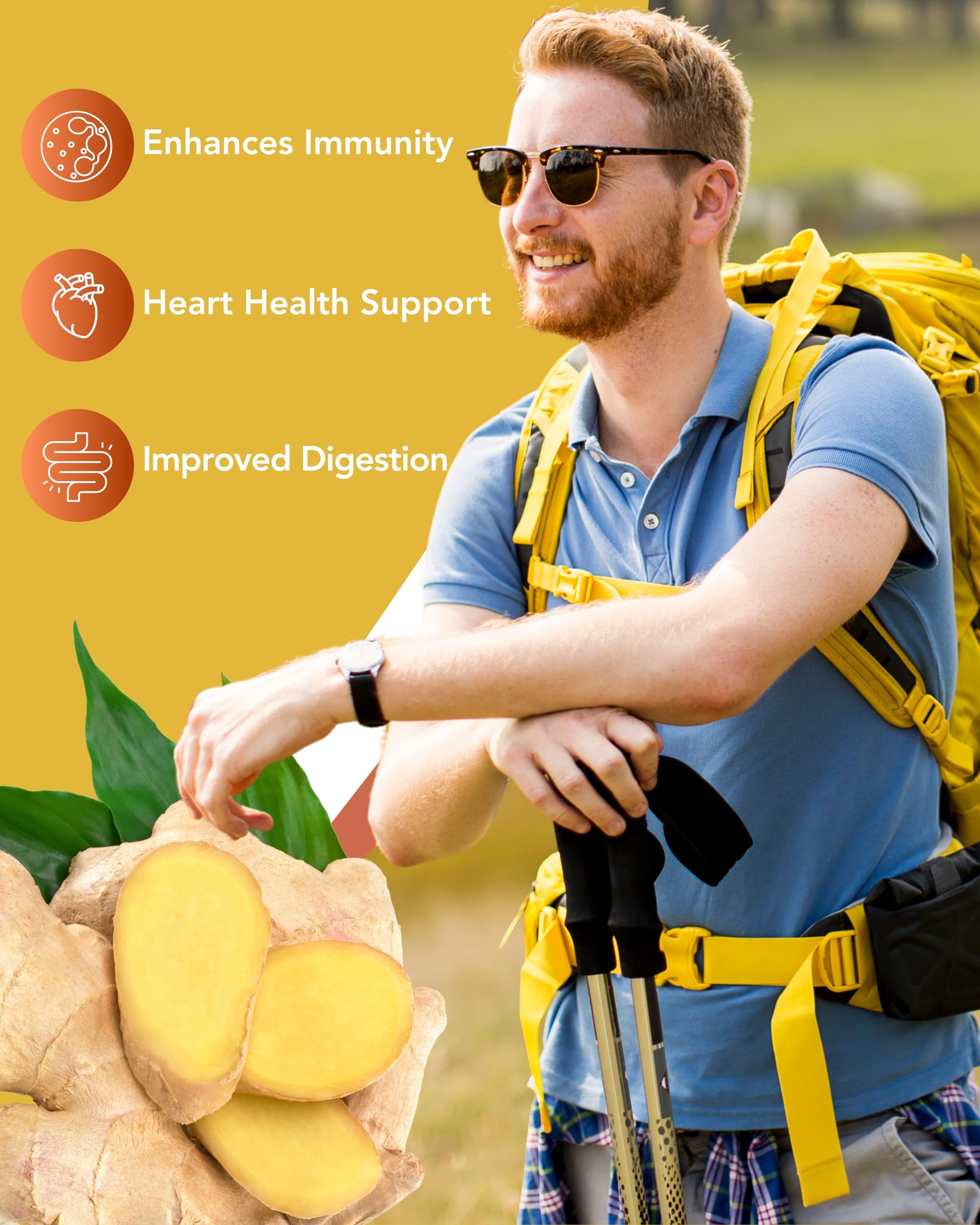 CogniTune Turmeric Curcumin Capsules side view showing supplement facts