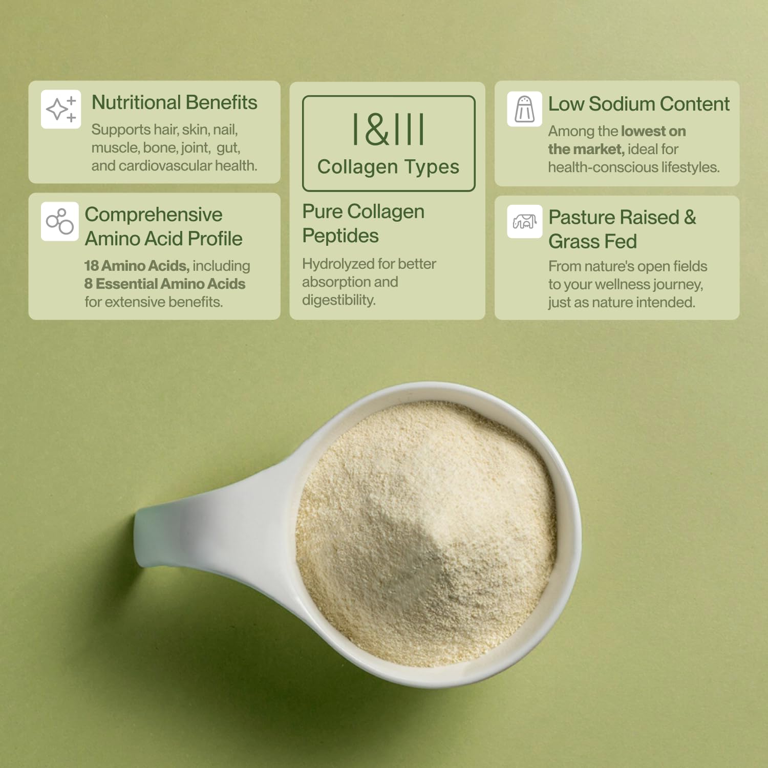 Colla Vita Collagen Supplement packaging side view
